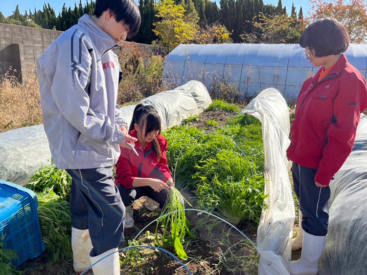 高校生が、京の伝統野菜を守り未来へつなぐ ―「シードバンク」から、地域を巻き込んだ「京野菜の魅力発信」へ